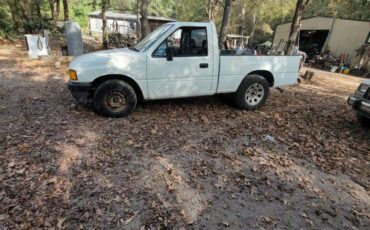 91-isuzu-pup-1991-white