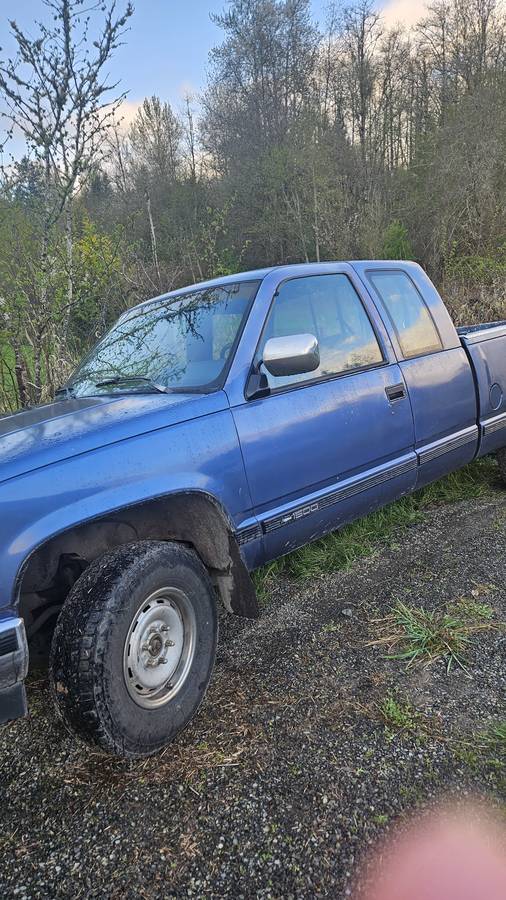 91chevy-scottsdale-3.4-4x4-v6-1991-blue-1