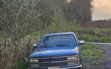91chevy-scottsdale-3.4-4x4-v6-1991-blue