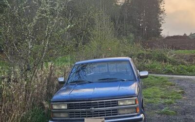 91’chevy scottsdale 3.4 4×4 v6 1991