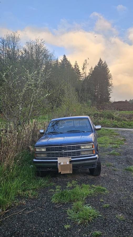 91chevy-scottsdale-3.4-4x4-v6-1991-blue