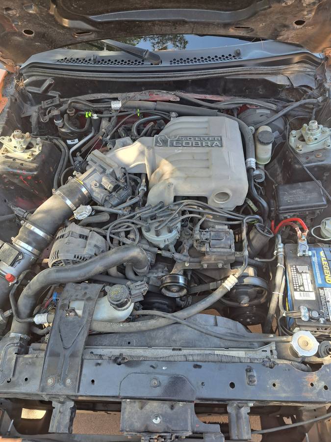 94-mustang-cobra-1994-orange-3