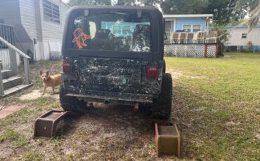 95-wrangler-1995-black-3