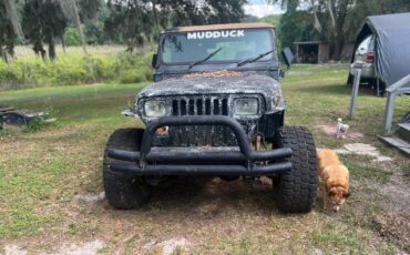 95-wrangler-1995-black