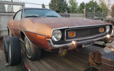A.m.c-1973-brown-1