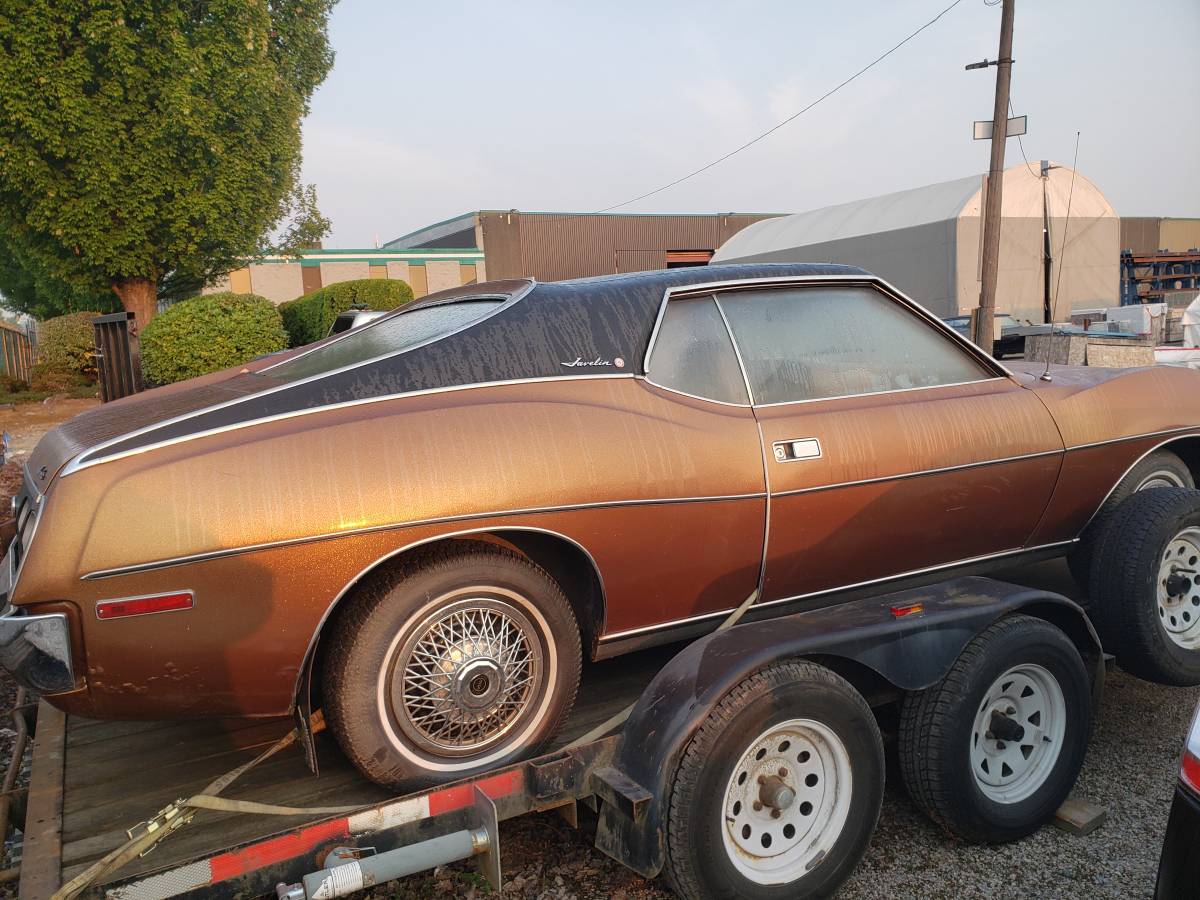 A.m.c-1973-brown-2