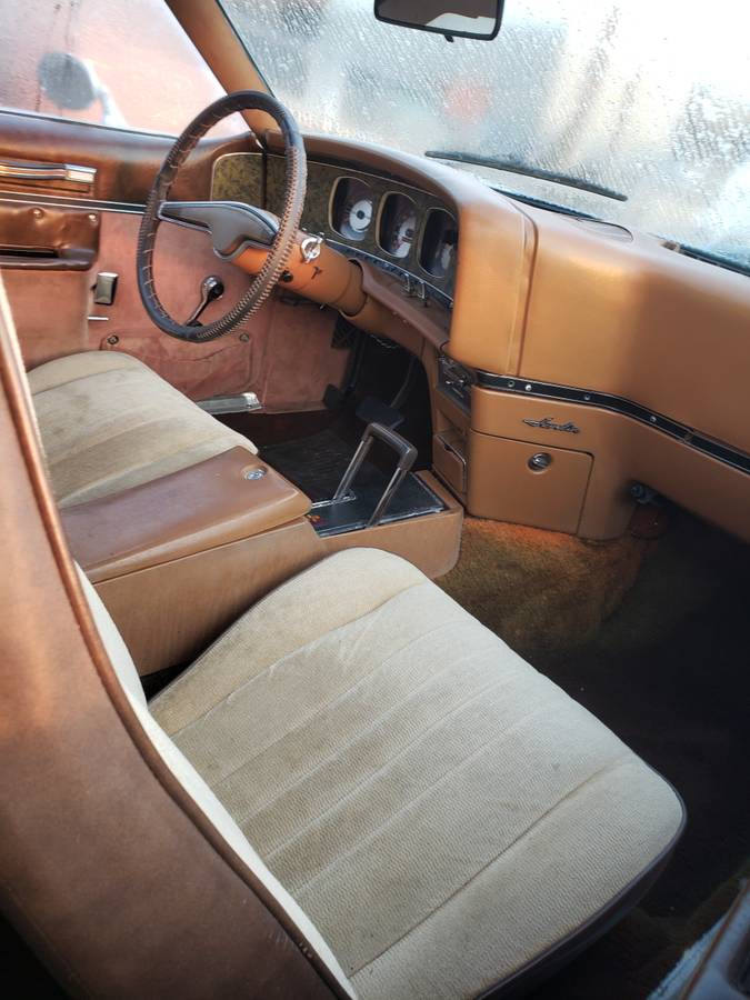 A.m.c-1973-brown-6