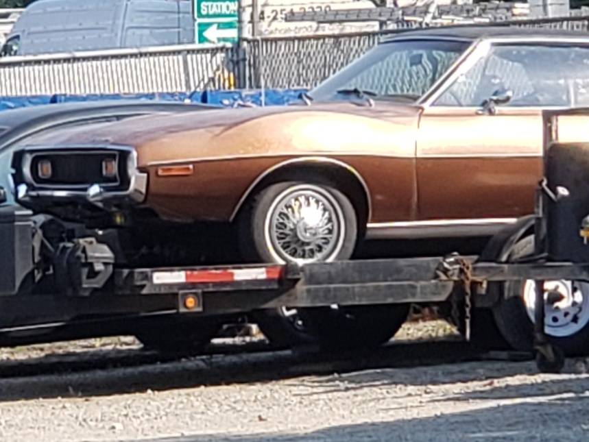 A.m.c-1973-brown