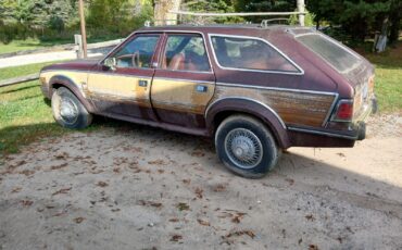 AMC-104065-HP-1988-00206-2