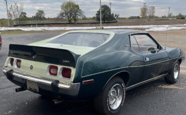 AMC-AMX-1973