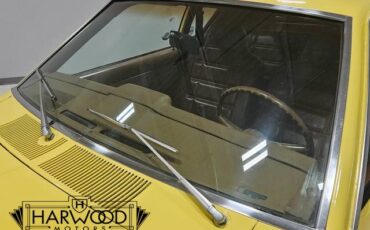 AMC-Gremlin-1976-Hatchback-20