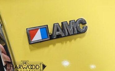 AMC-Gremlin-1976-Hatchback-29