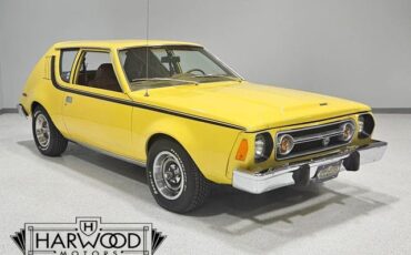 AMC-Gremlin-1976-Hatchback-7