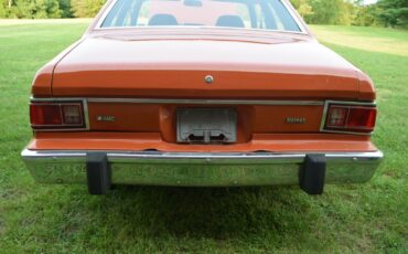 AMC-Hornet-1974-Sedan-10