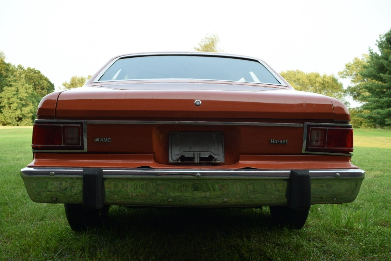AMC-Hornet-1974-Sedan-3