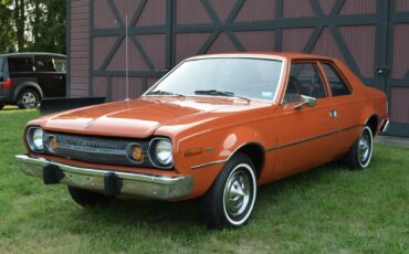AMC-Hornet-1974-Sedan-7