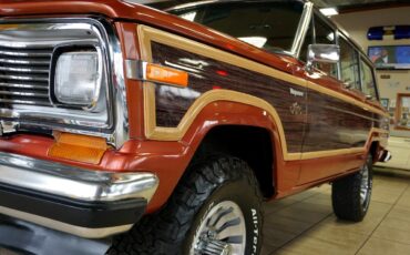 AMC-Wagoneer-1981-SUV-12
