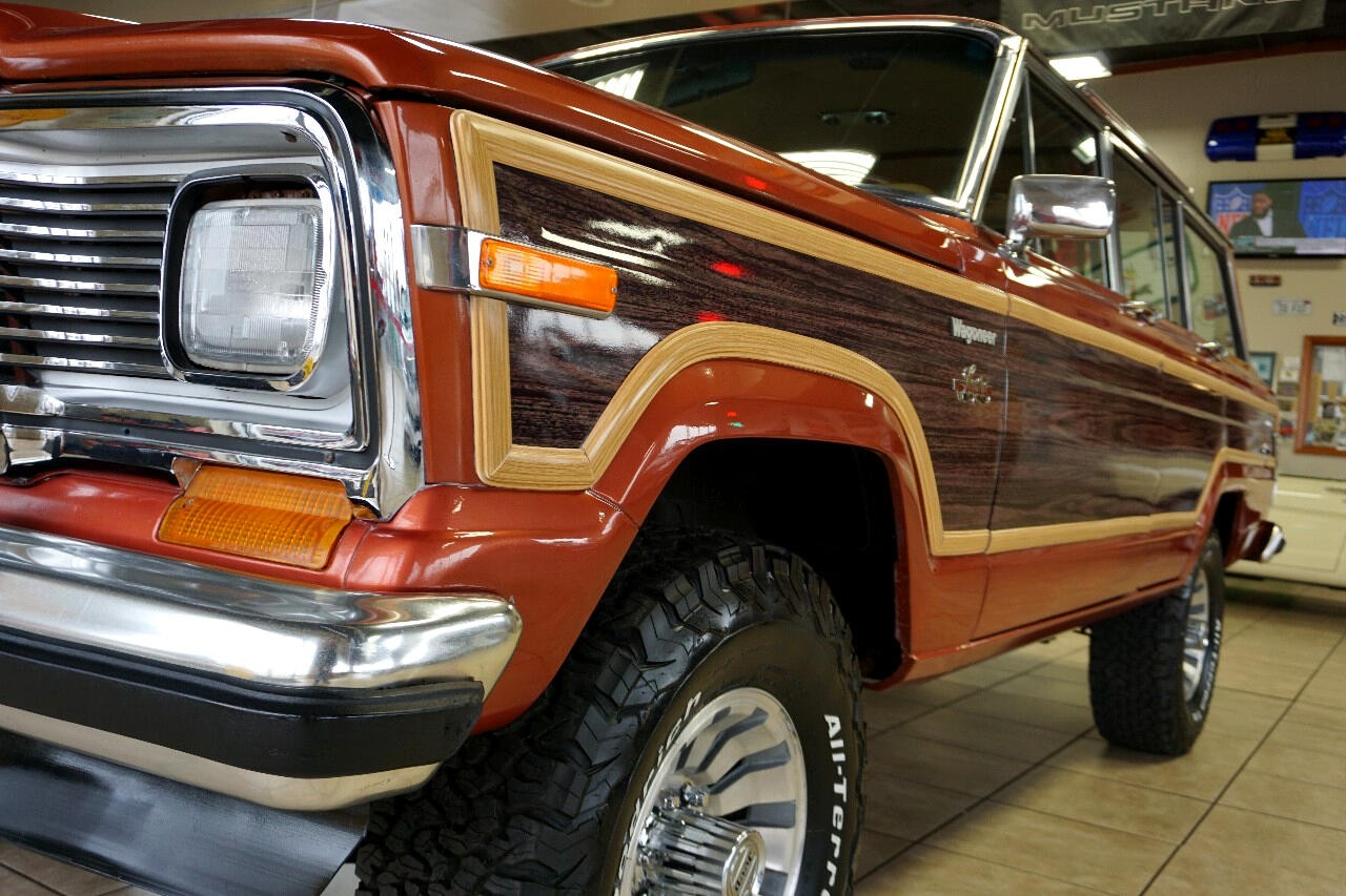 AMC-Wagoneer-1981-SUV-12