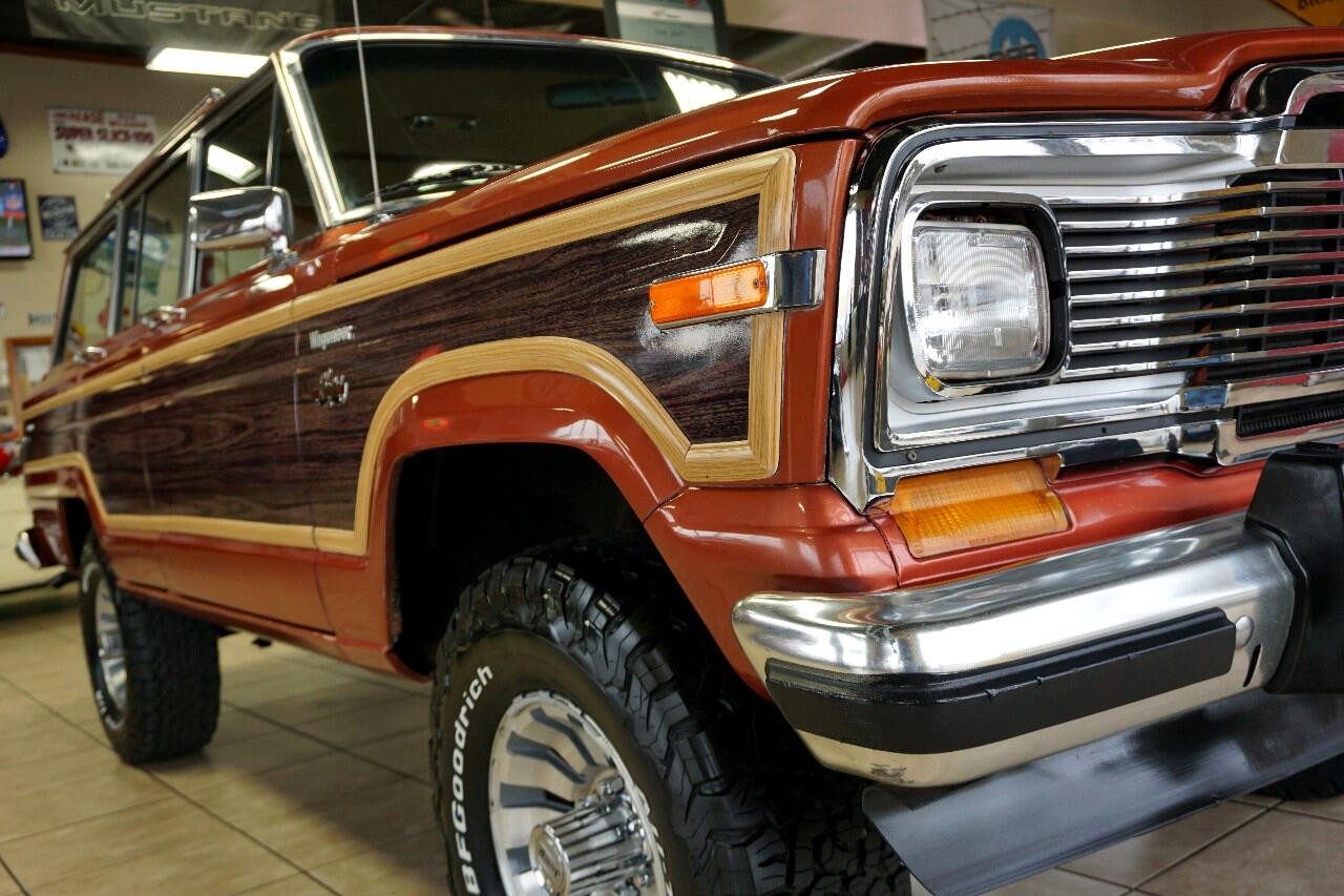 AMC-Wagoneer-1981-SUV-14
