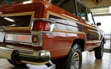 AMC-Wagoneer-1981-SUV-15