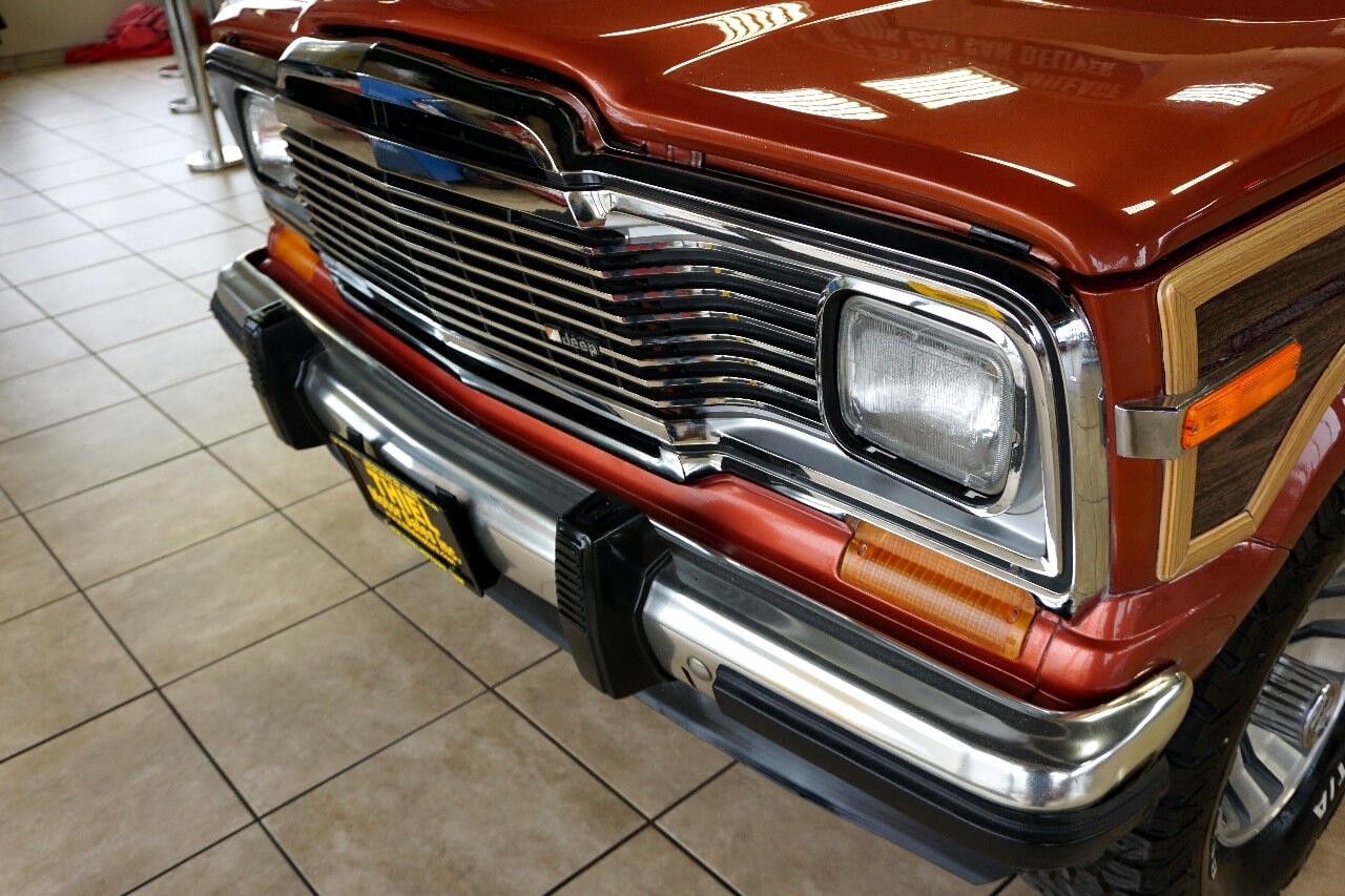 AMC-Wagoneer-1981-SUV-17
