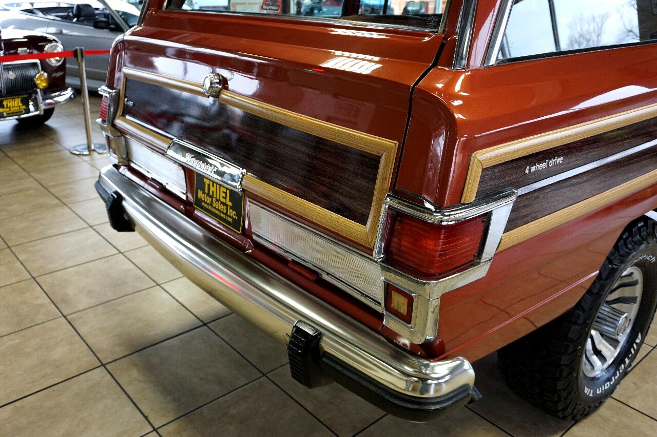 AMC-Wagoneer-1981-SUV-18