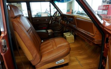 AMC-Wagoneer-1981-SUV-23