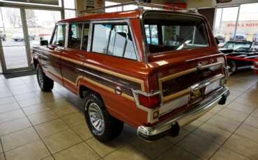 AMC-Wagoneer-1981-SUV-3