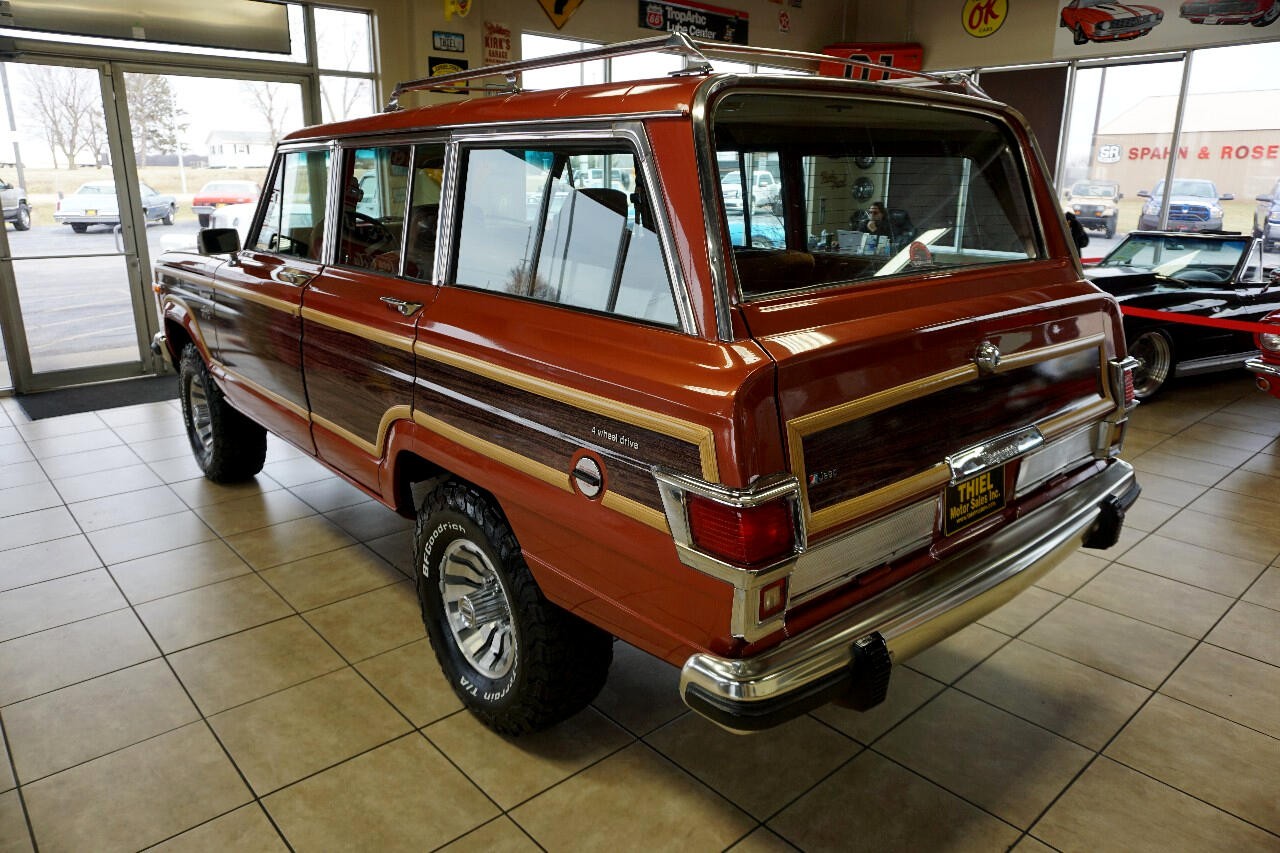 AMC-Wagoneer-1981-SUV-3