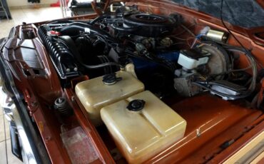 AMC-Wagoneer-1981-SUV-31