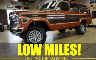 AMC-Wagoneer-1981-SUV