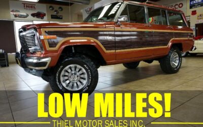 AMC Wagoneer 1981 SUV