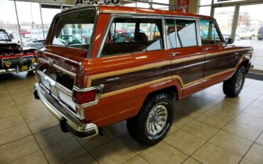 AMC-Wagoneer-1981-SUV-6