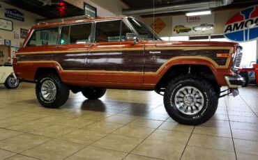 AMC-Wagoneer-1981-SUV-8