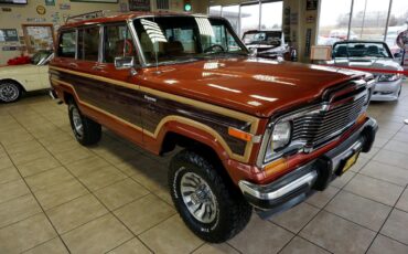 AMC-Wagoneer-1981-SUV-9