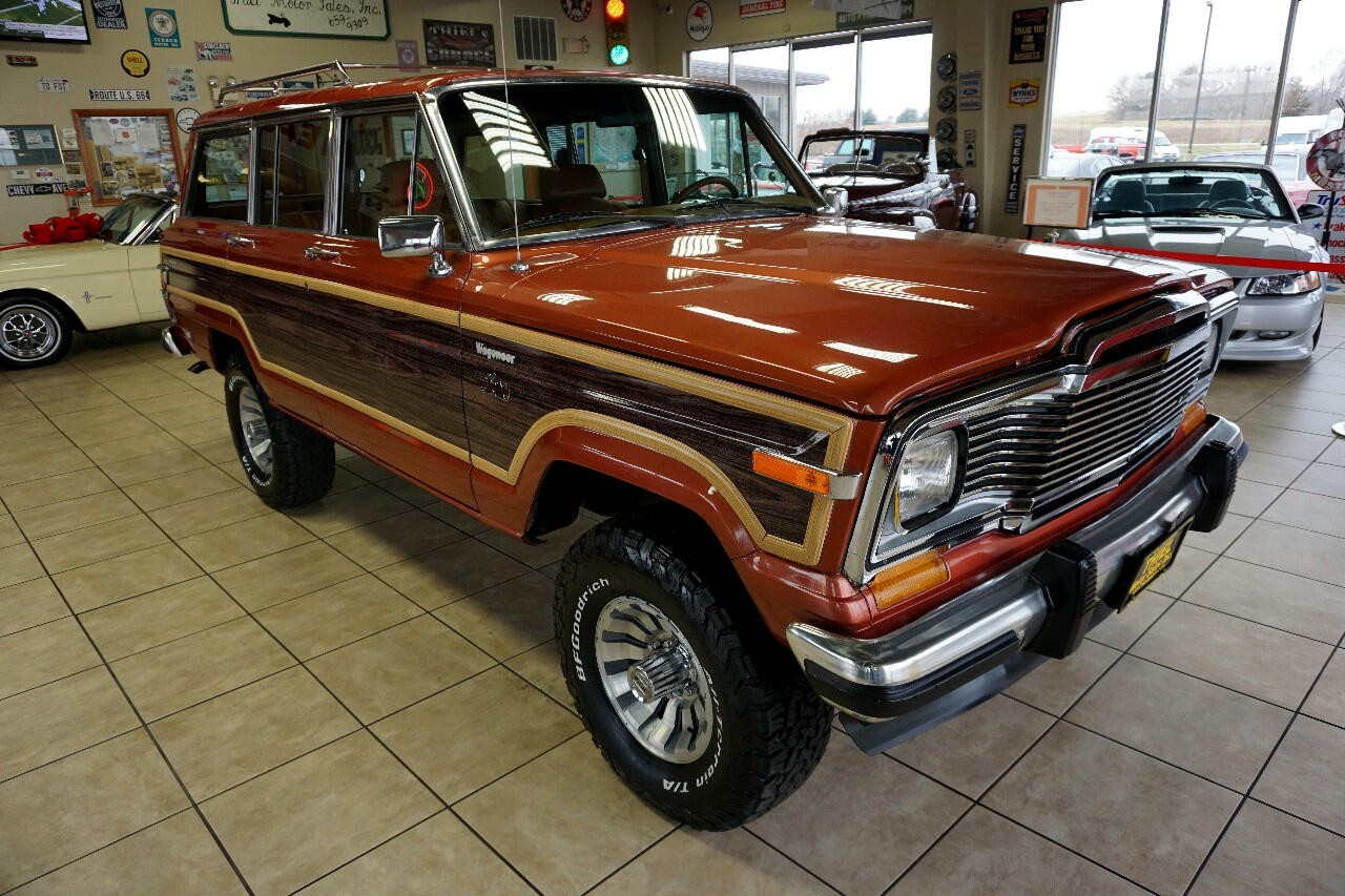 AMC-Wagoneer-1981-SUV-9