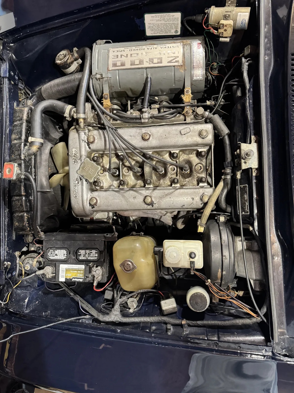 Alfa-romeo-Gtv-2000-1974-Blue-Tan-4