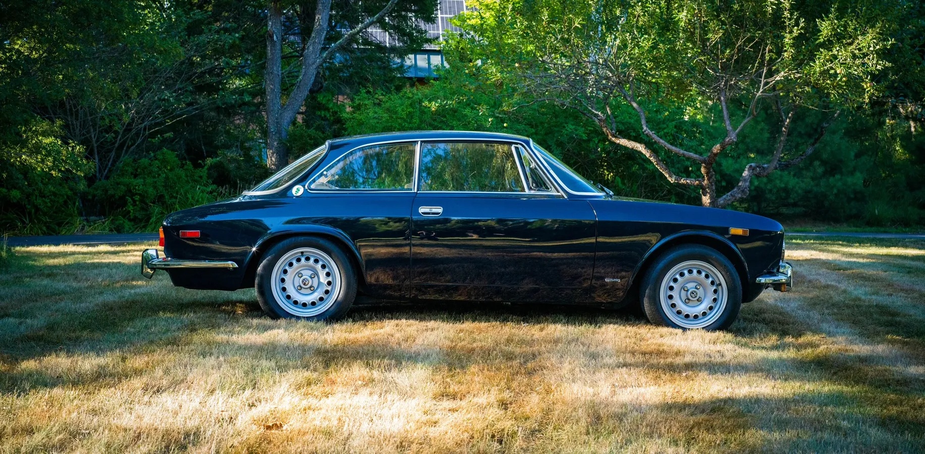 Alfa-romeo-Gtv-2000-1974-Blue-Tan-5