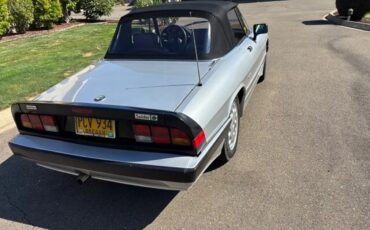 Alfa-romeo-Spider-1987-Silver-Gray-11