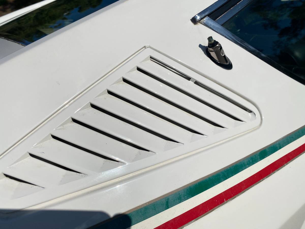 Alfa-romeo-alfetta-gt-1977-white-10