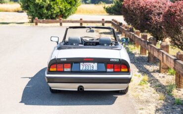 Alfa-romeo-spider-quadrifoglio-1987-silver-7