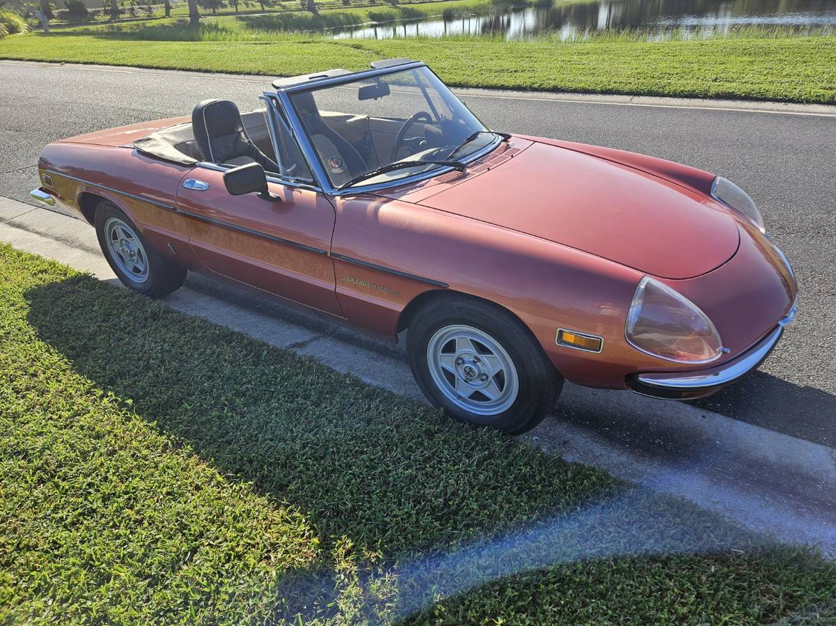 Alfa-romeo-spider-veloce-1981-custom-1