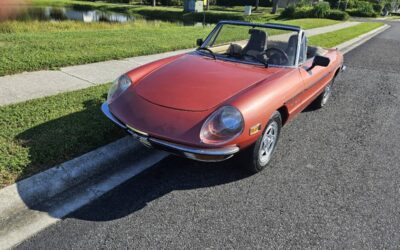 Alfa romeo spider veloce 1981