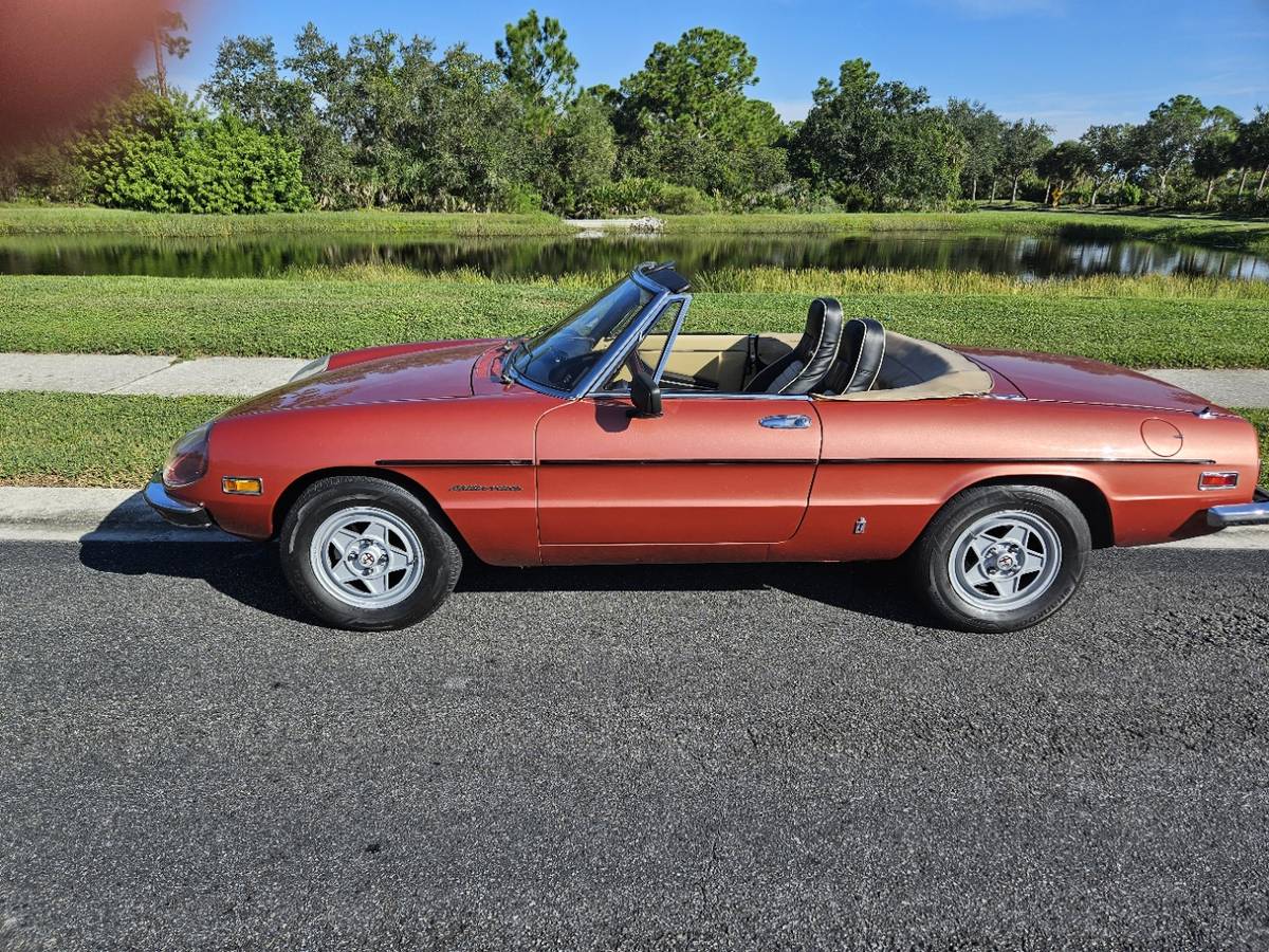 Alfa-romeo-spider-veloce-1981-custom-5