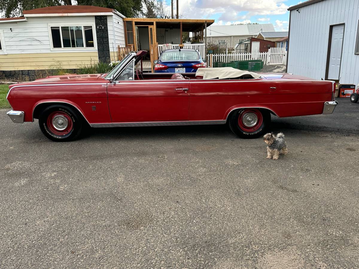 Ambassador-1965-red-7
