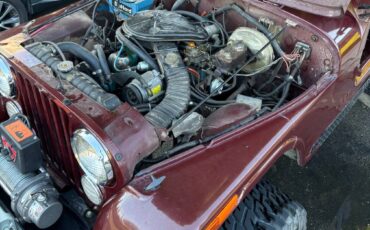 Amc-1980-8
