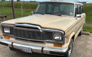 Amc-Jeep-1983-Tan-Bronze