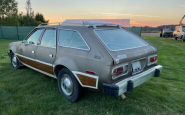 Amc-concorde-woody-1978-brown-7