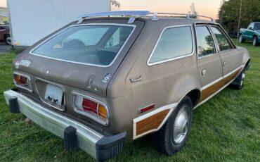 Amc-concorde-woody-1978-brown-8