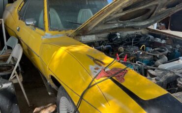 Amc-javelin-amx-1973-yellow